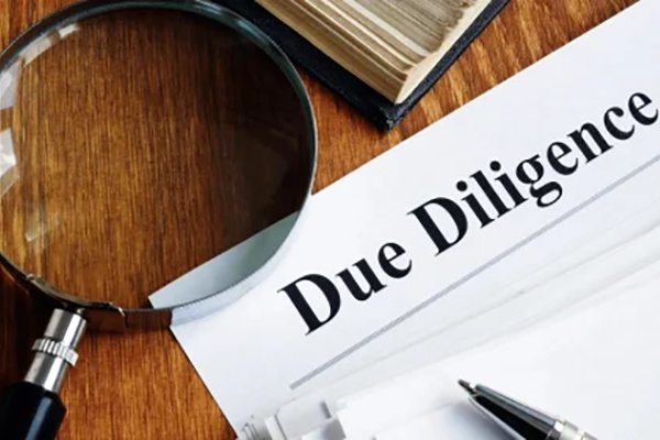 Due Diligence Services
